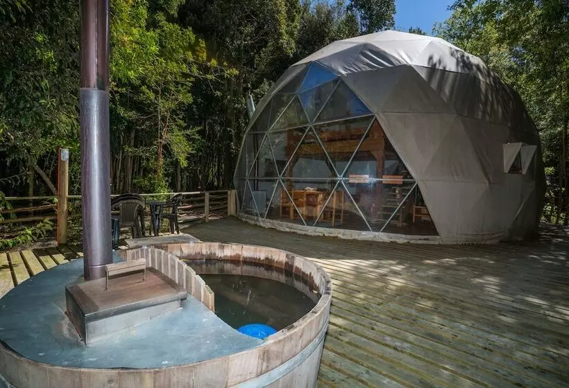 ホテル Cabanas Ensenada Bosque Nativo