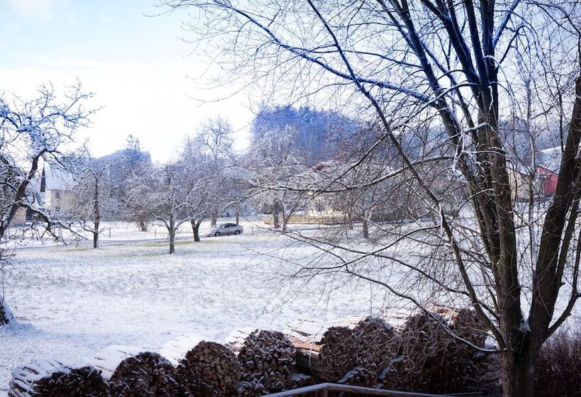 בית מלון כפרי Entenwirt Seeham