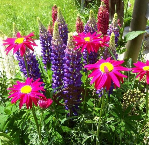 Landhotel Hubengut Bed And Breakfast