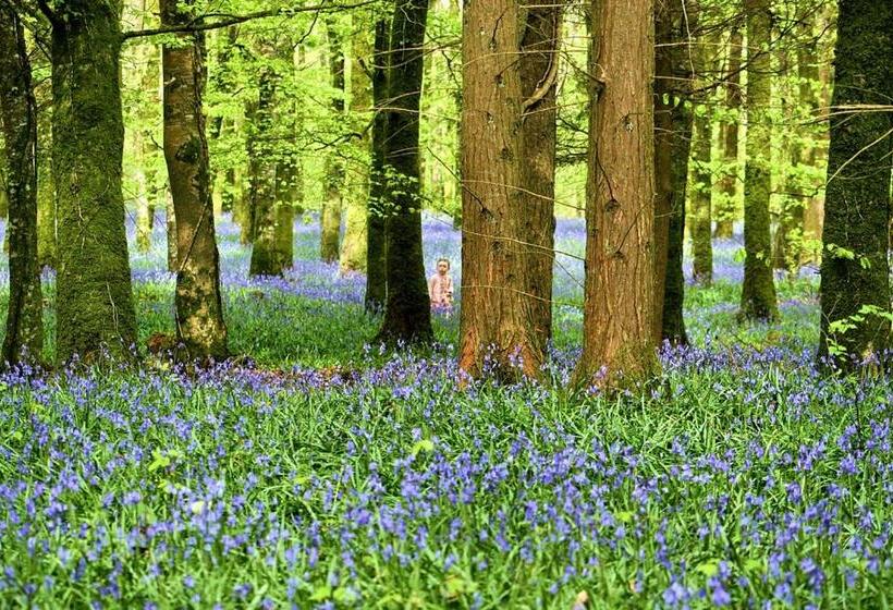 민박 Rosdarrig House