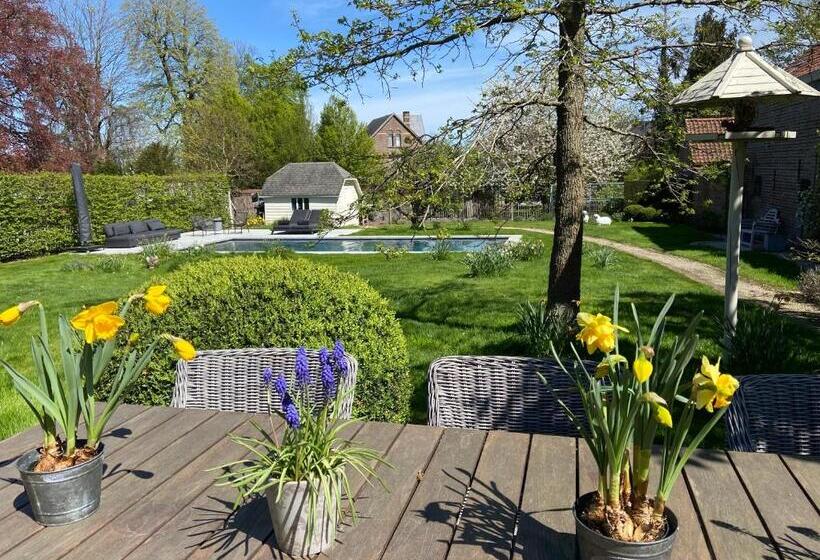 B&b Aline Florentine