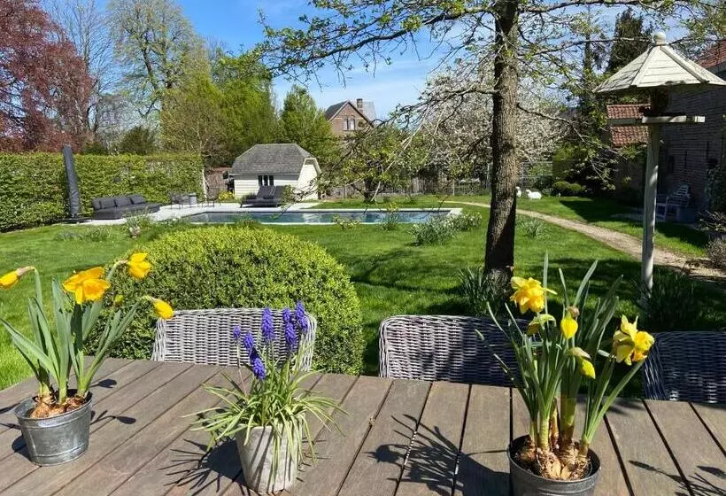 B&b Aline Florentine