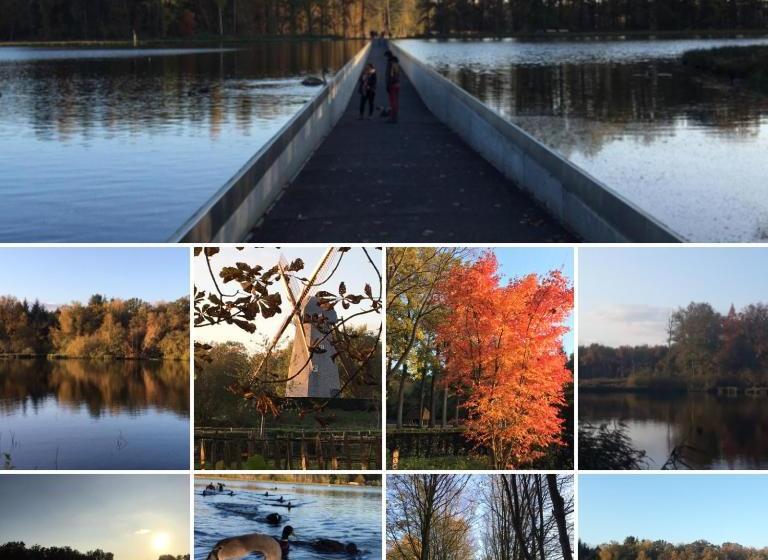 Vakantiewoning Casa Maran In Een Groene Omgeving Te Heusden Zolder