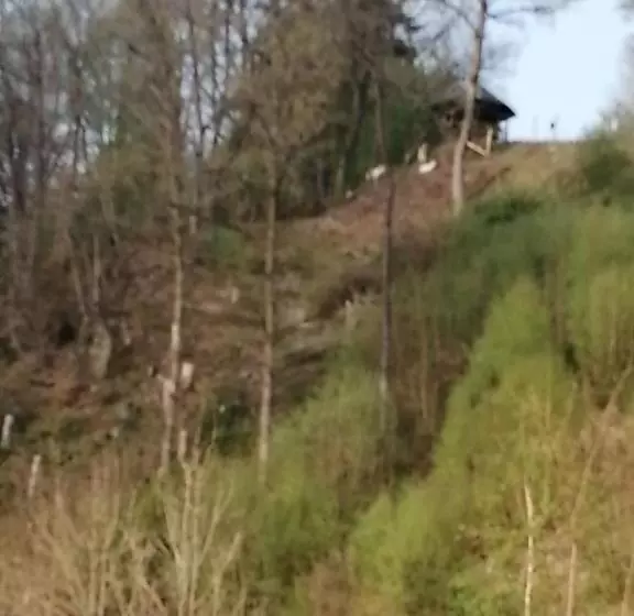 B&b L Ourthe