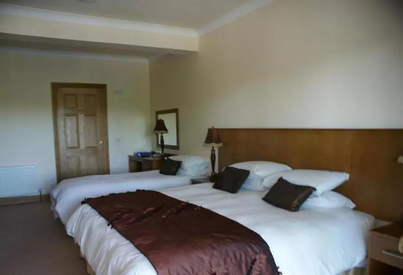 B&b The Silver Eel