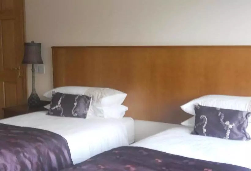 B&b The Silver Eel
