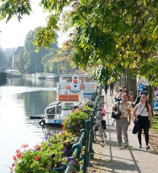 تختخواب و صبحانه Schopenhauer