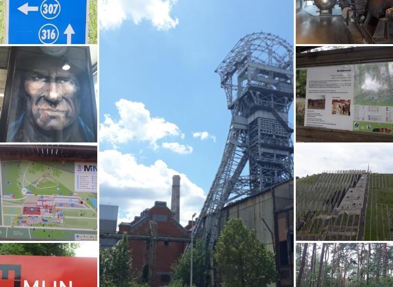Vakantiewoning Casa Maran In Een Groene Omgeving Te Heusden Zolder