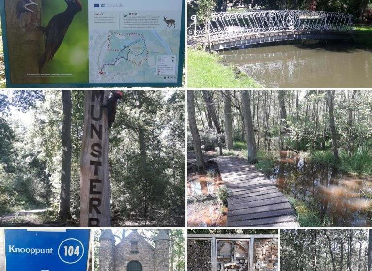 Vakantiewoning Casa Maran In Een Groene Omgeving Te Heusden Zolder