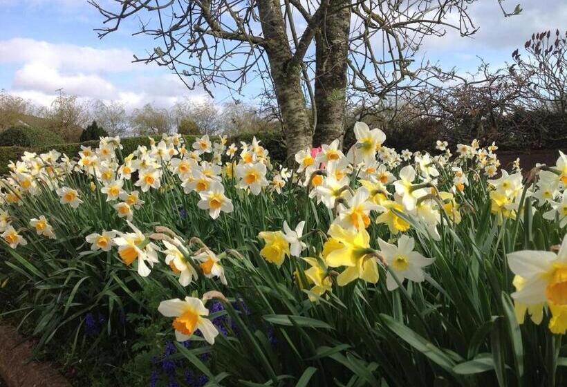 Hawthorn View Bed And Breakfast