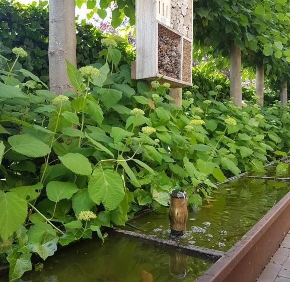 בית מלון כפרי Essenza