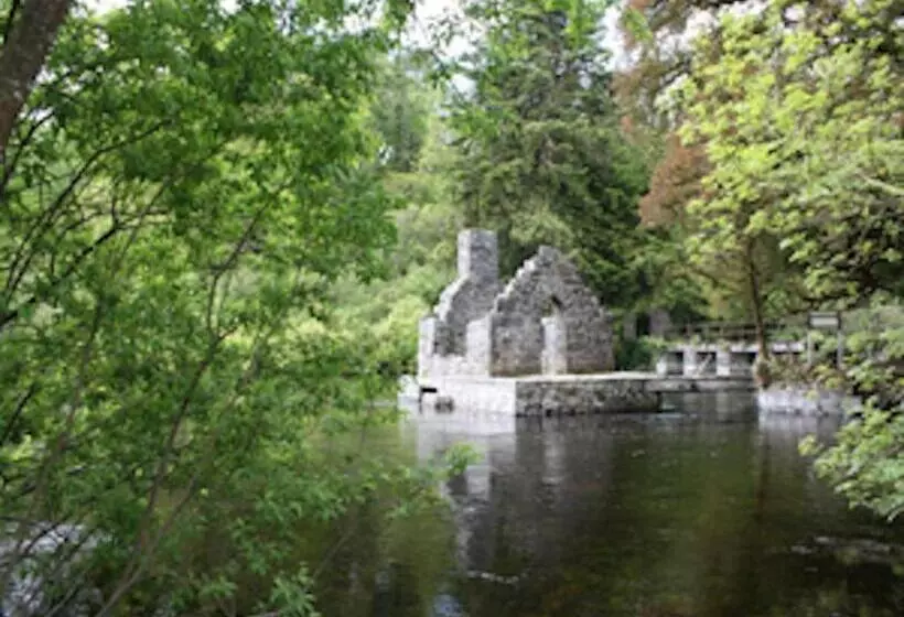 Michaeleen's Manor B&b