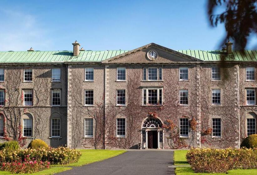 호스텔 Maynooth Campus Accommodation