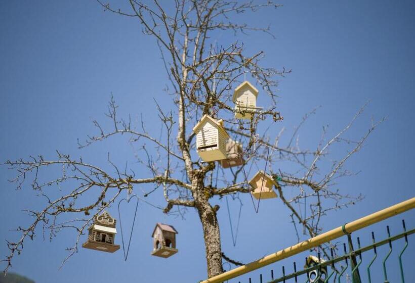 Aparthotel Gallahaus