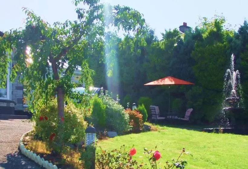 Bed & Breakfast Harbour View