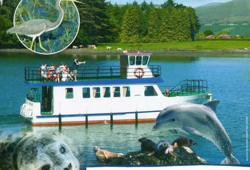 Bed & Breakfast Harbour View