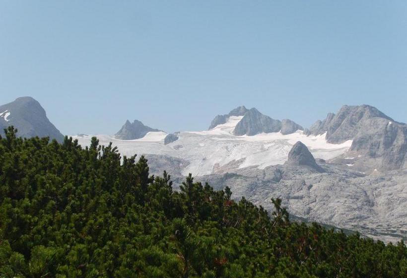 ベッドアンドブレックファースト Privatpension Gosaukammblick