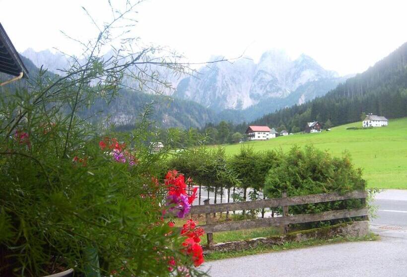 ベッドアンドブレックファースト Privatpension Gosaukammblick