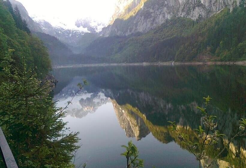 ベッドアンドブレックファースト Privatpension Gosaukammblick