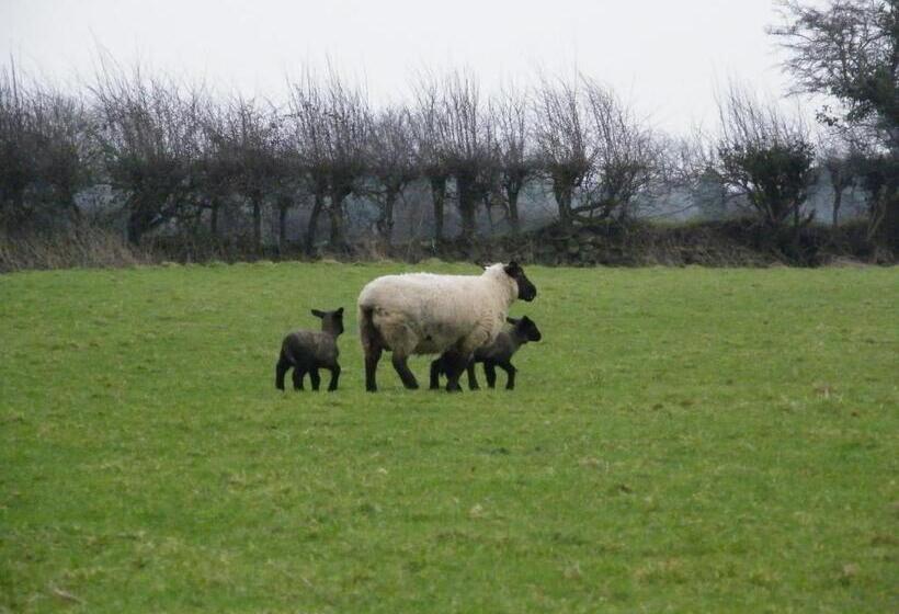 Evergreen Bed & Breakfast