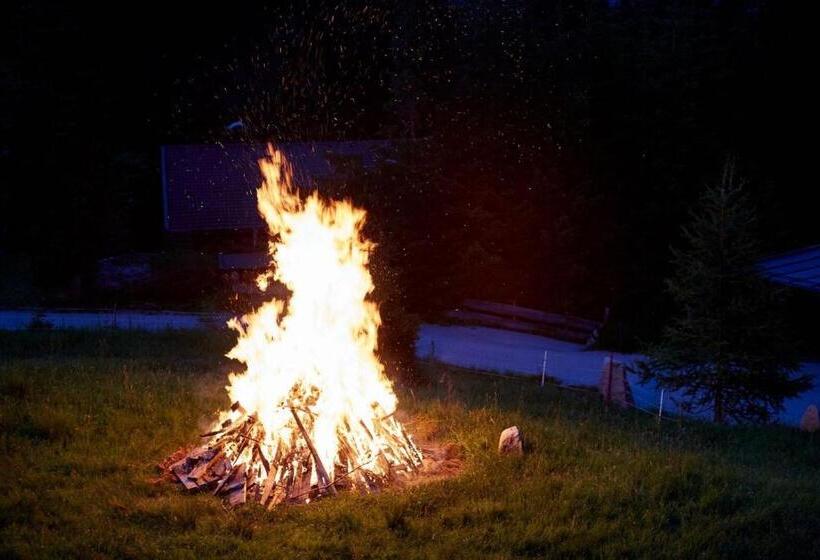 Отель Alpengasthof Filzstein