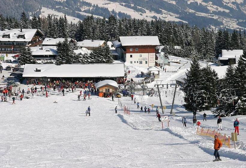 Отель Alpengasthof Filzstein