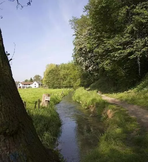 ホテル Auberge 's Gravenhof