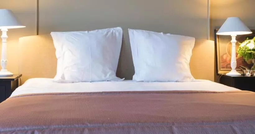 Hotel Hippocampus