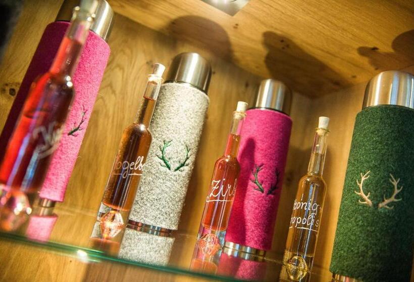 فندق Salzburgerhof