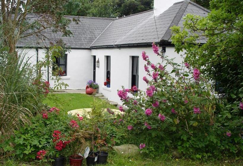 Kilcommon Lodge Holiday Hostel