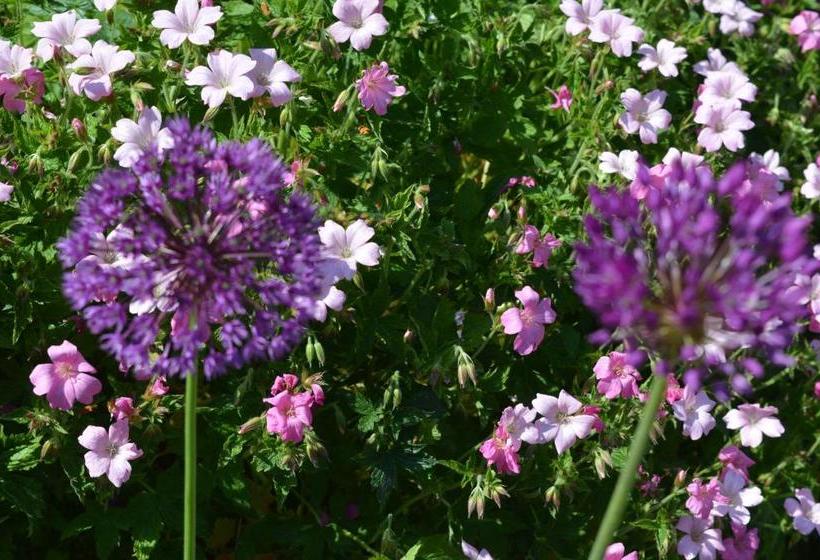 Kilcommon Lodge Holiday Hostel