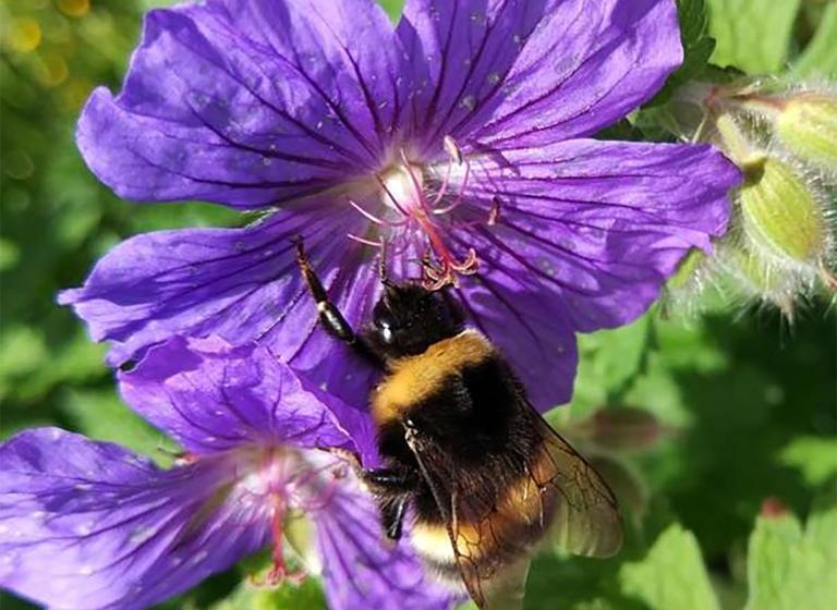 Kilcommon Lodge Holiday Hostel