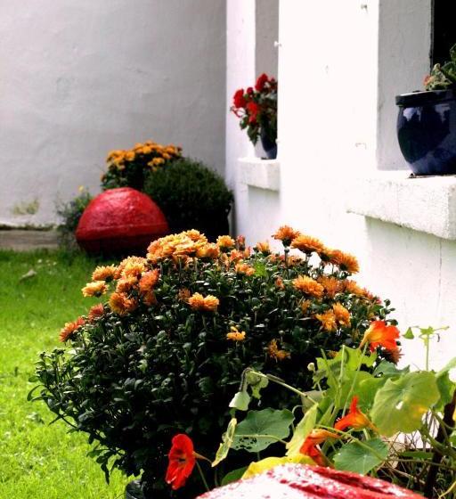 Kilcommon Lodge Holiday Hostel