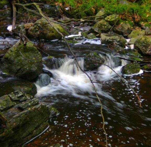 B&b Le Petit Normand