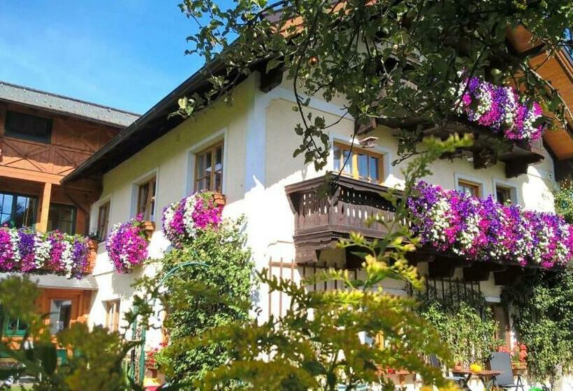 ベッドアンドブレックファースト Hochegg