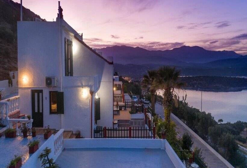 Anemone Seaside Traditional Homes