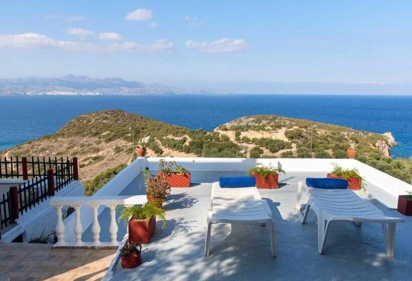 Anemone Seaside Traditional Homes