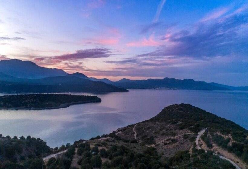 Anemone Seaside Traditional Homes