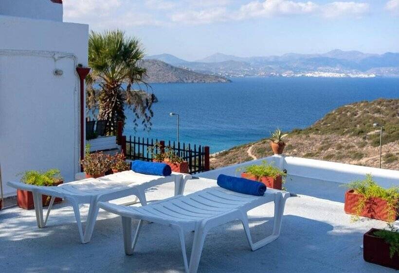 Anemone Seaside Traditional Homes