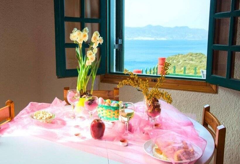 Anemone Seaside Traditional Homes