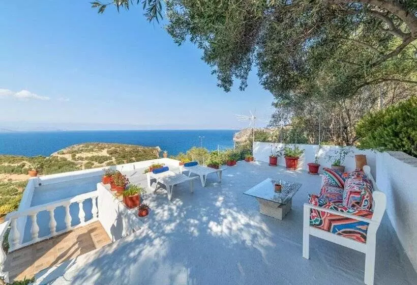 Anemone Seaside Traditional Homes