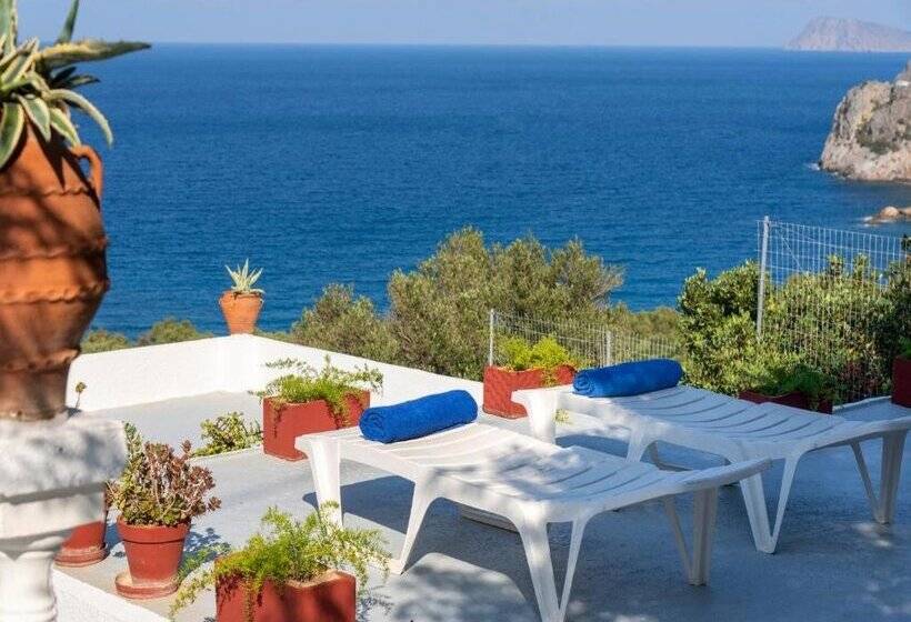 Anemone Seaside Traditional Homes