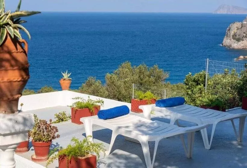 Anemone Seaside Traditional Homes
