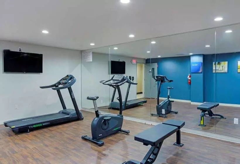 ホテル Comfort Inn & Suites Near Stadium