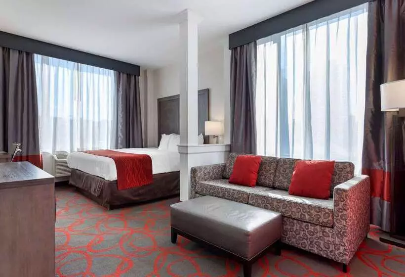 ホテル Comfort Inn & Suites Near Stadium