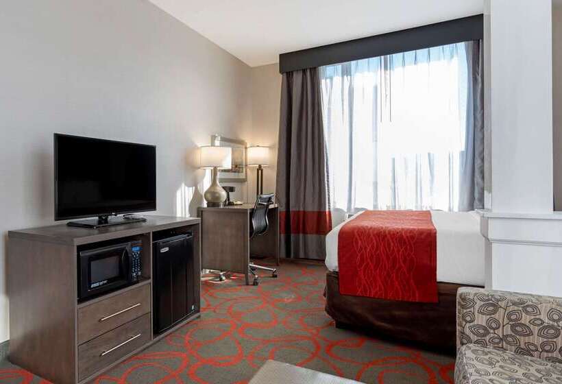 호텔 Comfort Inn & Suites Near Stadium