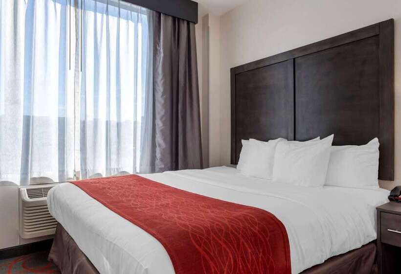 호텔 Comfort Inn & Suites Near Stadium