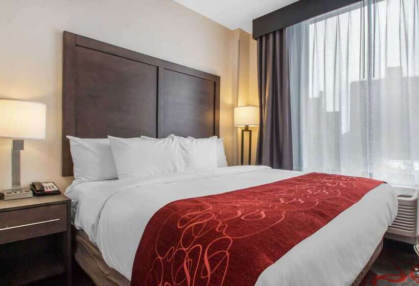 호텔 Comfort Inn & Suites Near Stadium