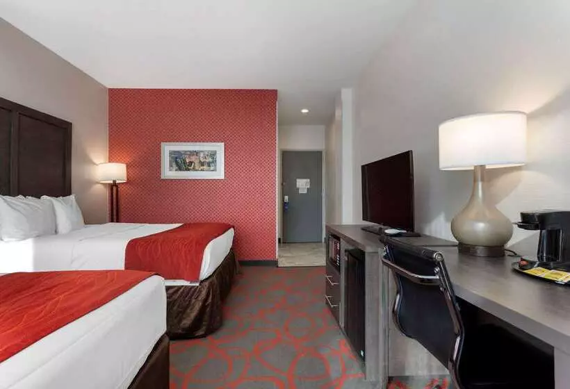ホテル Comfort Inn & Suites Near Stadium