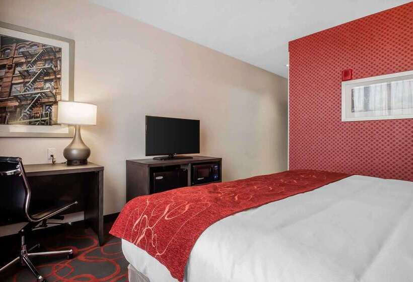 호텔 Comfort Inn & Suites Near Stadium